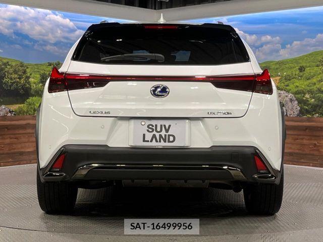 Lexus UX 2019-04 7501345-14