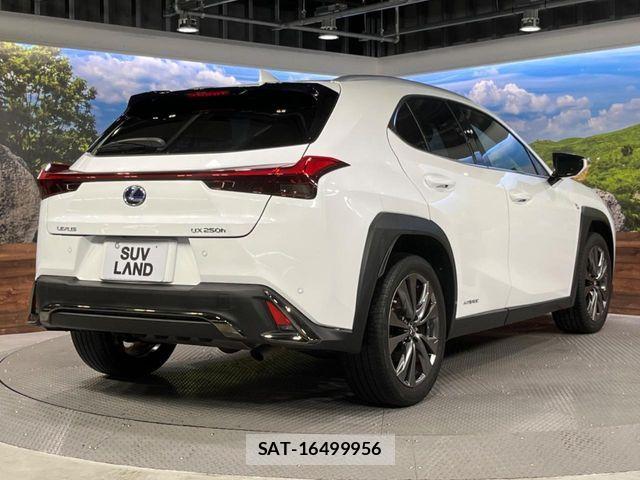 Lexus UX 2019-04 7501345-16