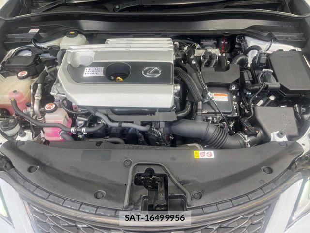 Lexus UX 2019-04 7501345-17
