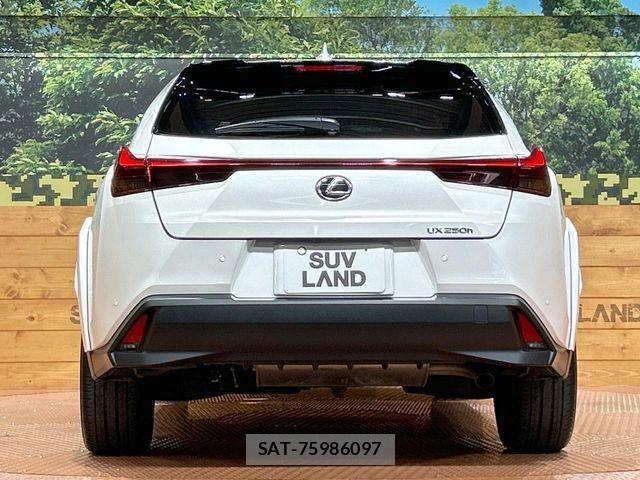 Lexus UX 2023-07 7501341-15