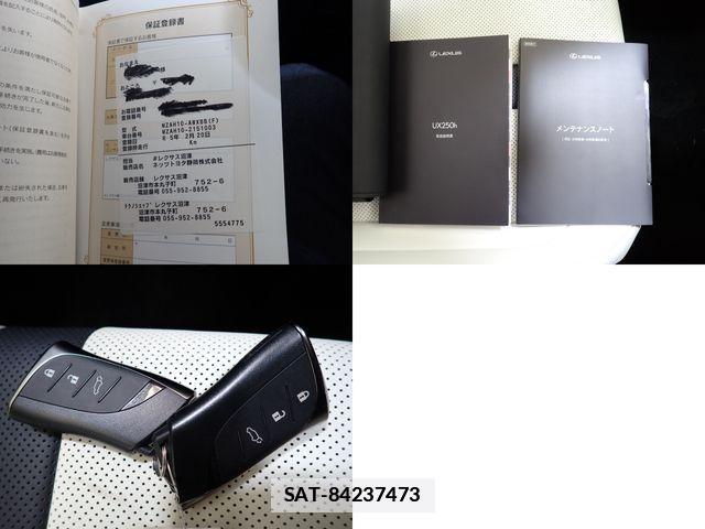 Lexus UX 2023-02 7501342-28