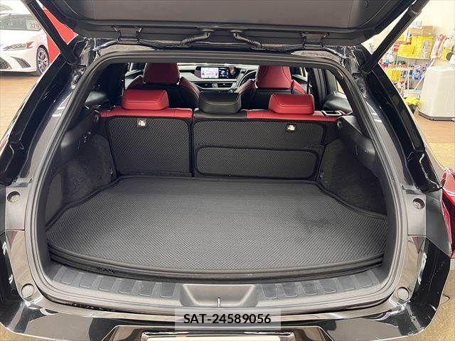 Lexus UX 2020-12 7501351-8