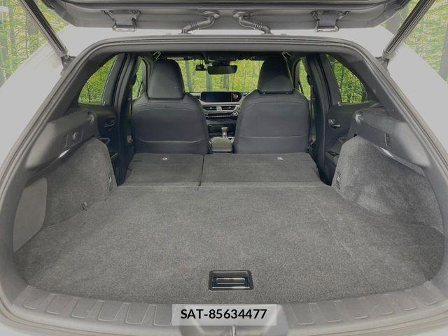 Lexus UX 2019-07 7562376-9