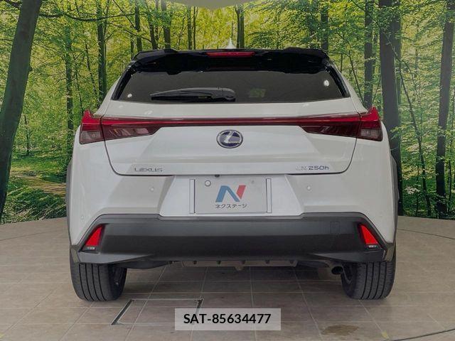Lexus UX 2019-07 7562376-14