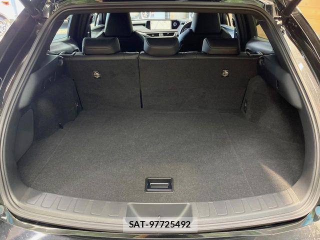 Lexus UX 2020-01 7562377-9
