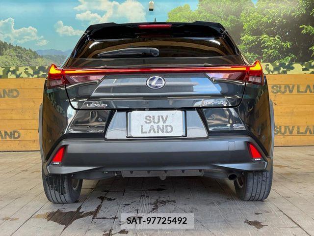 Lexus UX 2020-01 7562377-14