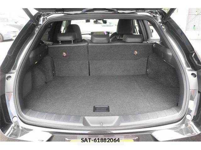 Lexus UX 2021-07 7617765-25