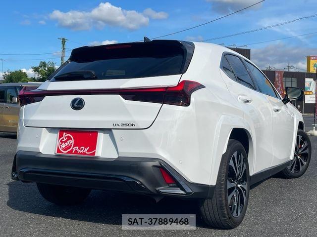 Lexus UX 2023-07 7617760-4