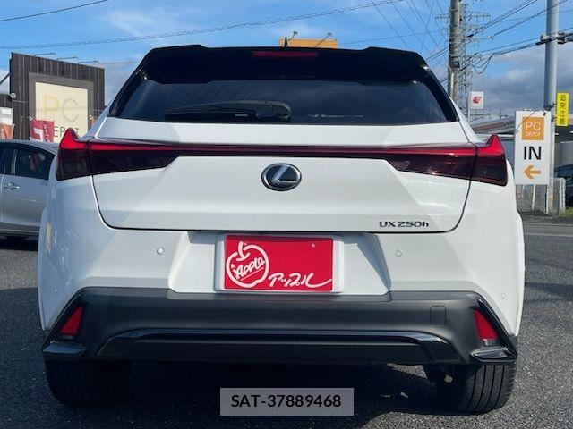 Lexus UX 2023-07 7617760-6