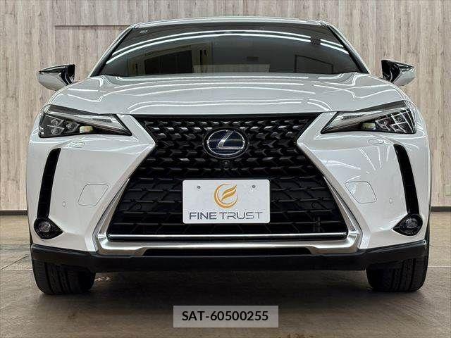 Lexus UX 2019-03 7617768-13