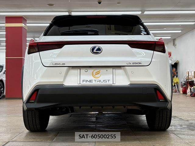 Lexus UX 2019-03 7617768-16