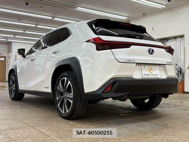 Lexus UX 2019-03 7617768-18