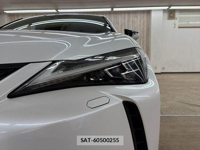 Lexus UX 2019-03 7617768-20