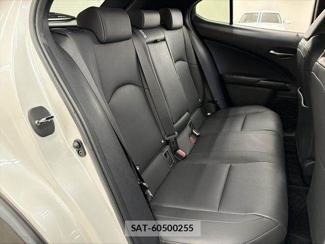 Lexus UX 2019-03 7617768-7
