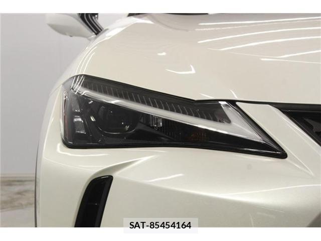 Lexus UX 2023-05 7725227-11