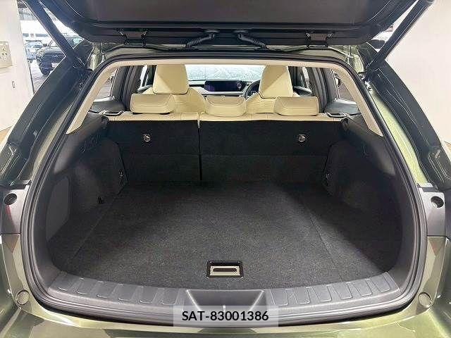Lexus UX 2020-02 7725229-12