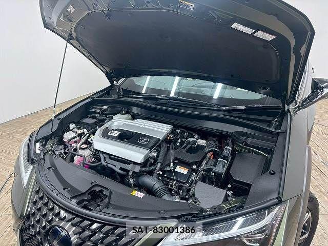 Lexus UX 2020-02 7725229-17