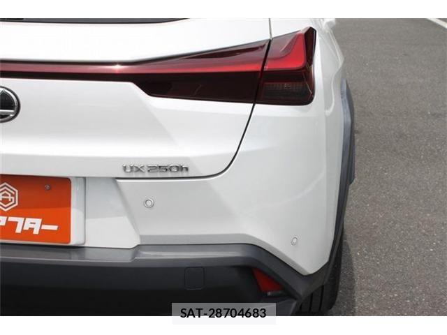 Lexus UX 2023-05 7725235-13