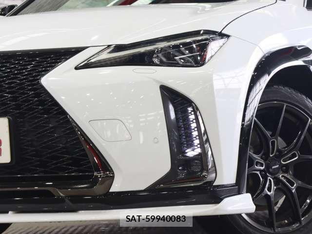 Lexus UX 2019-07 7725231-15