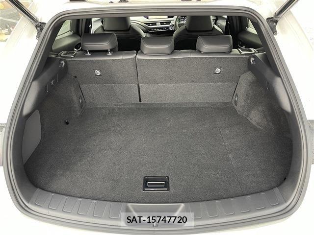 Lexus UX 2019-11 7725232-16