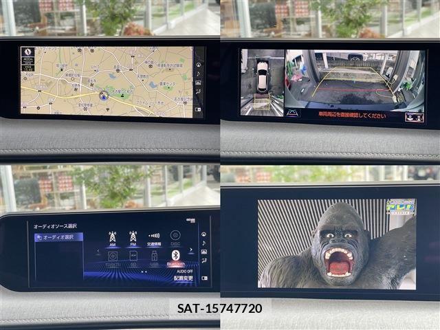 Lexus UX 2019-11 7725232-7