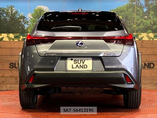 Lexus UX 2021-06 7725234-14