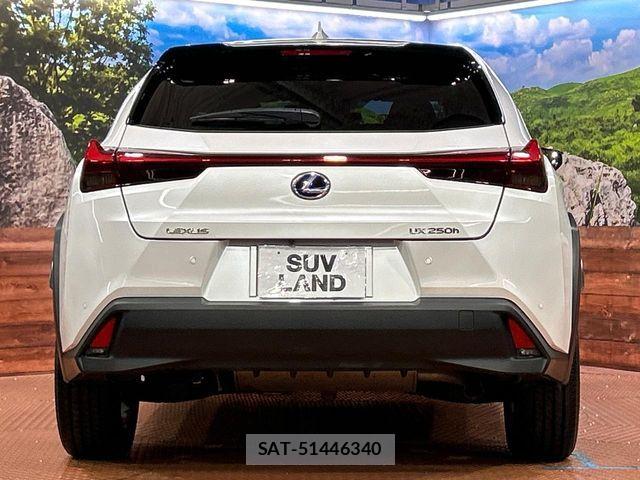 Lexus UX 2021-09 7725233-14