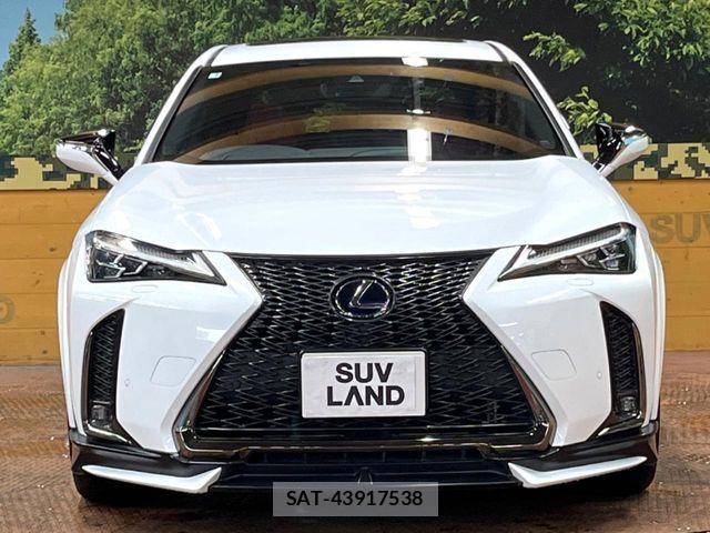 Lexus UX 2019-01 7786671-13
