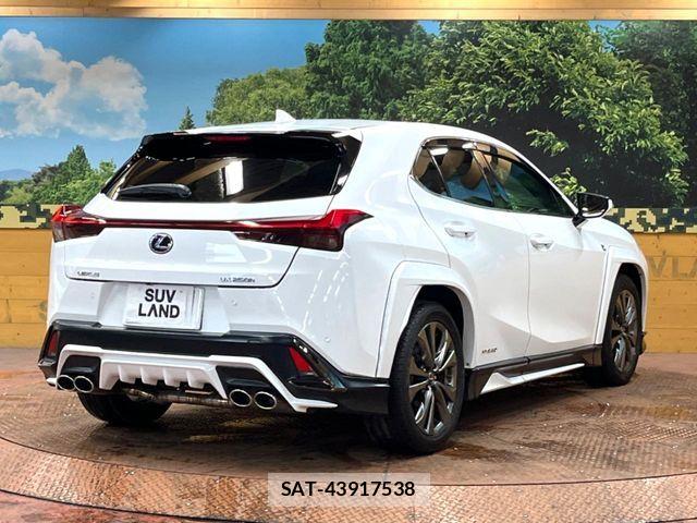 Lexus UX 2019-01 7786671-16
