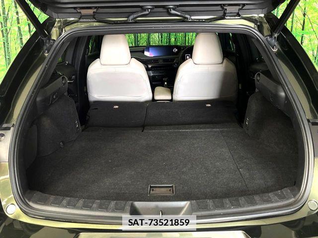 Lexus UX 2020-11 7786668-13