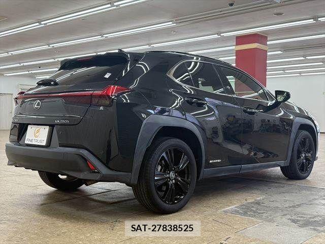 Lexus UX 2020-12 7877478-17