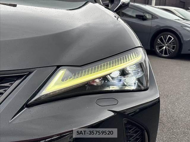 Lexus UX 2019-01 7877470-11