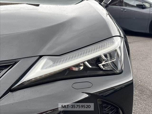 Lexus UX 2019-01 7877470-22