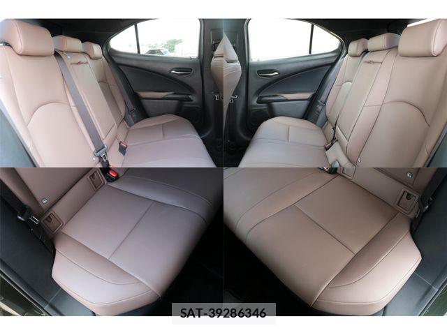 Lexus UX 2023-04 7877469-19