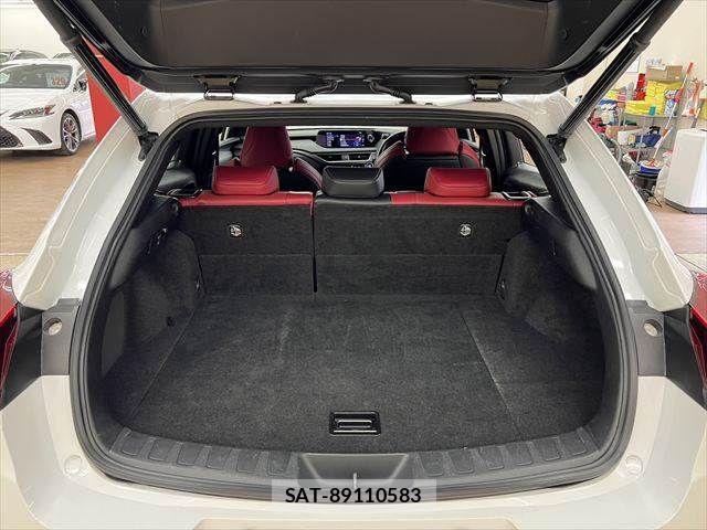 Lexus UX 2019-08 7902888-8