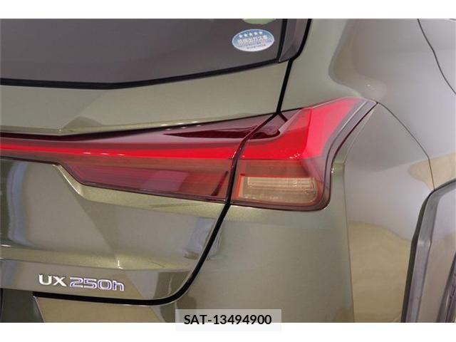 Lexus UX 2020-01 7902886-29