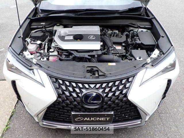 Lexus UX 2020-05 7962479-23
