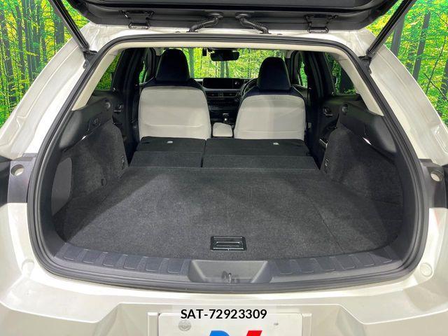 Lexus UX 2019-11 7962480-9