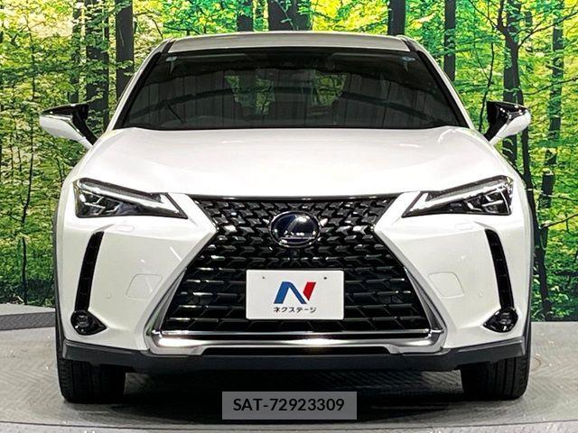 Lexus UX 2019-11 7962480-13