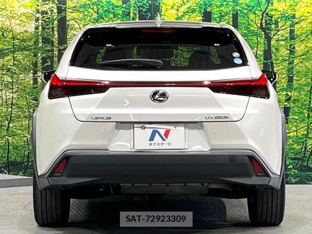 Lexus UX 2019-11 7962480-14