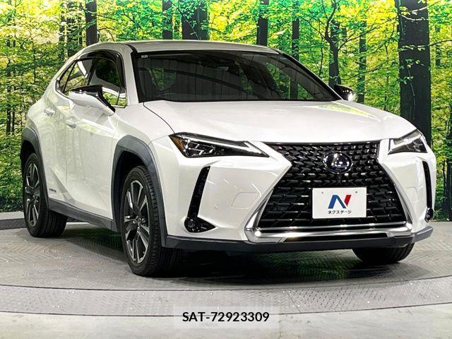 Lexus UX 2019-11 7962480-15
