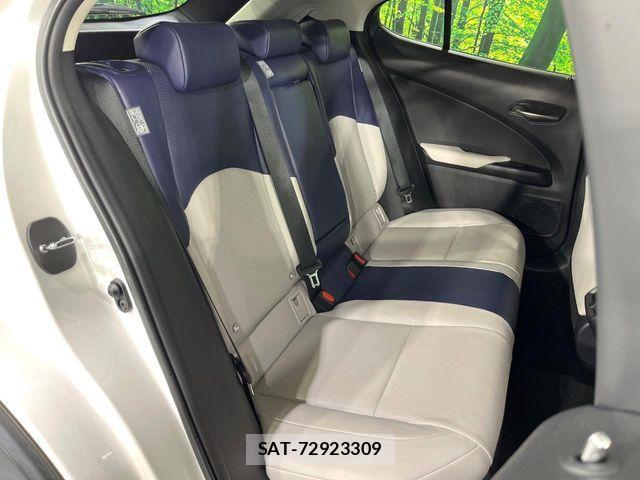 Lexus UX 2019-11 7962480-8