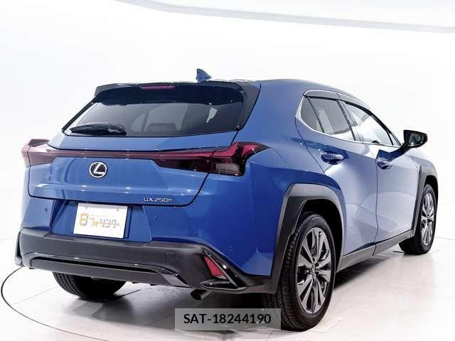 Lexus UX 2023-08 7979813-6