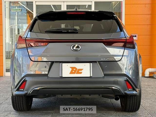 Lexus UX 2022-10 8036501-13