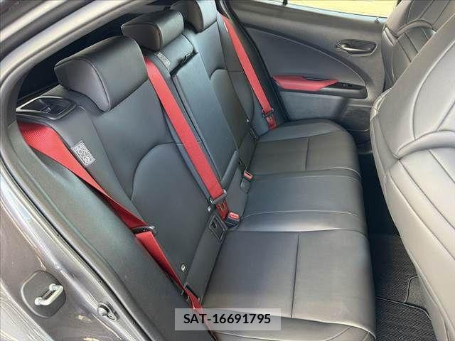 Lexus UX 2022-10 8036501-18