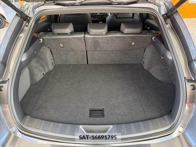 Lexus UX 2022-10 8036501-19