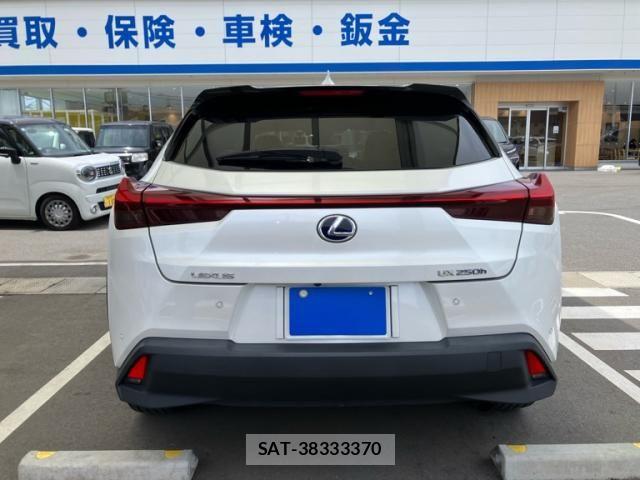 Lexus UX 2021-08 8036511-1