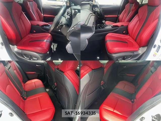 Lexus UX 2019-01 8036504-7