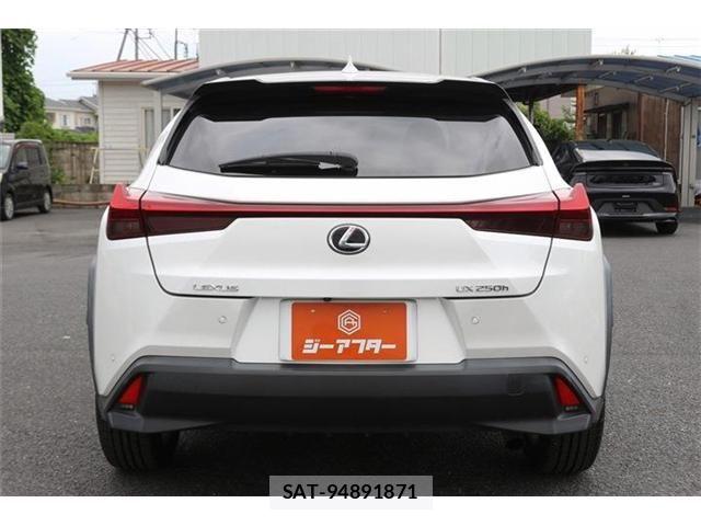 Lexus UX 2019-10 8036505-9