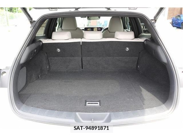 Lexus UX 2019-10 8036505-18